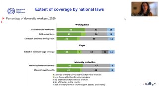 domestic workers slide